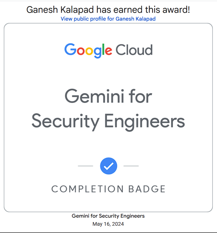 Gemini Security & Safety Principles